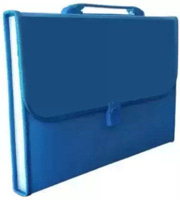 vavia graphics plastic File Folder F/C Expanding Bag with Handle Pack Of 1 Page Capicity(Set Of 1, Multicolor)