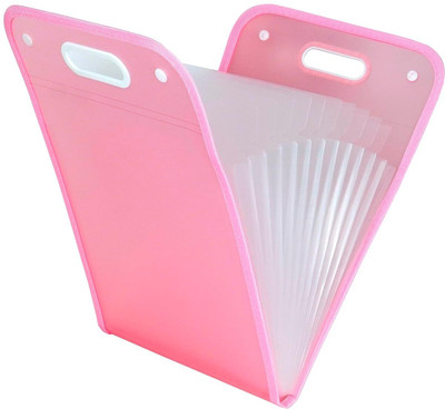 SHY eWorld plastic folder file(Set Of 1, Multicolor)