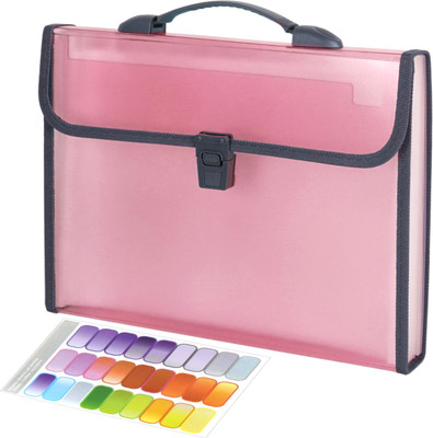 NISUN Polypropylene 13 Pockets Expanding File Folder A4/Lettter Size Document Organizer with Handle(Set Of 1, Pink)