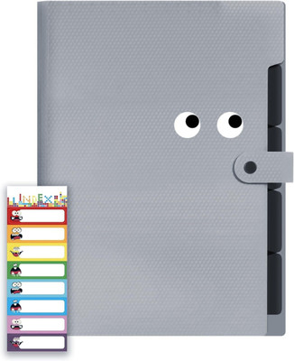 STORITE Plastic 5 Pocket Expanding File Folder with Fun Sticky Labels(Set Of 1, Grey)