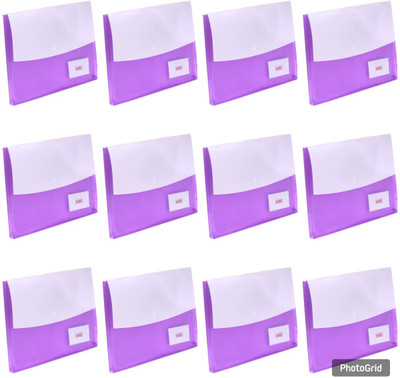 EVOHOUSE Plastic File Folder(Set Of 12, Purple)