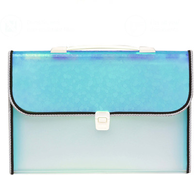 ZesTale Polypropylene 13 Pocket with handle and Index tab Document File Folder(Set Of 1, Blue)