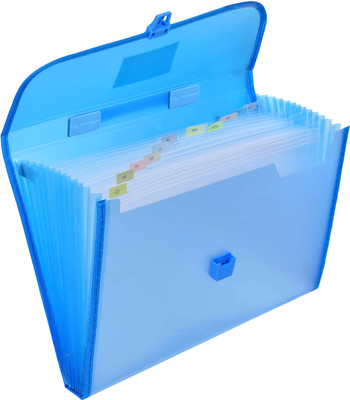 CLICKEDIN Plastic Expanding File Folder With 13 Pockets A4 Legal Document Certificate Organizer(Set Of 1, Multicolor)