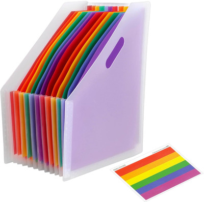 NISUN Polypropylene 12 Pockets Vertical Expanding File Folders Letter A4 Size Documents Organiser(Set Of 1, Transparent White)
