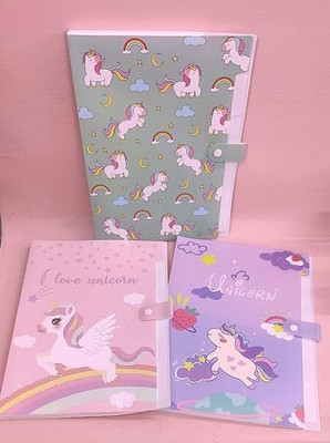 Tera13 plastic stylish folder(Set Of 1, Multicolor)