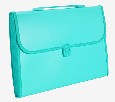 SHINING ZON Pp Green Expanding File Folder(Set Of 1, Green)