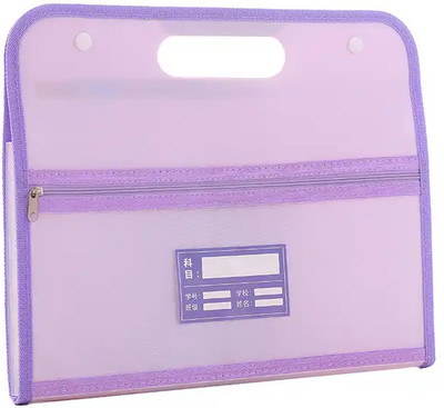 SHINING ZON Plastic 13 Pocket Expanding File Folder Multipurpose Horizontal(Set Of 2, Purple)