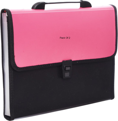 SHINING ZON opeque Expandable File Folder Document File(Set Of 2, Multicolor)