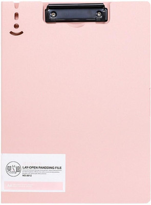 Induxin Heavy Plastic File Folder(Set Of 1, Multicolor)
