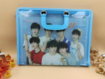 Paper Bear Plastic Documents File Folder Organizer(Set Of 1, Light Blue)