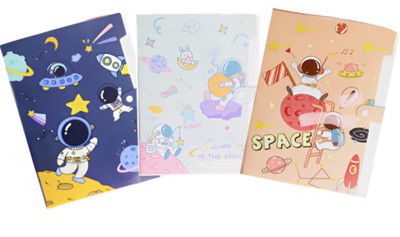 aashita shoppe Plastic File folder(Set Of 3, Multicolor)