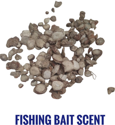 JUST ONE CLICK Eking 50 gm Scent Fish Bait(50 g)