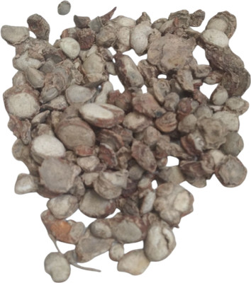 JUST ONE CLICK Ekangi Scent Fish Bait(50 g)