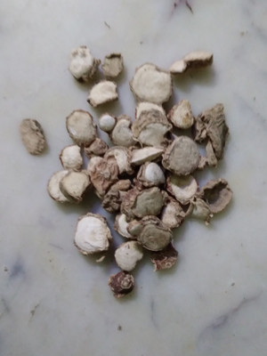 JUST ONE CLICK Ekangi Scent Fish Bait(100 kg)