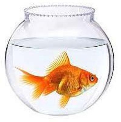 NOGAIYA 3.5 L Fish Bowl