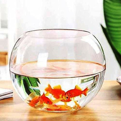 shobhana enterprises 20.75 L Fish Bowl