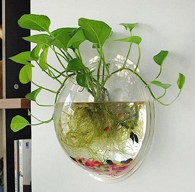 Gaurvi Enterprises 1 L Fish Bowl