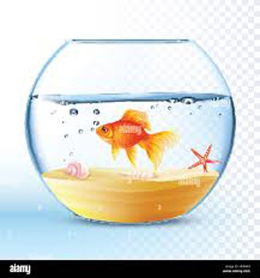 NOGAIYA 1.5 L Fish Bowl