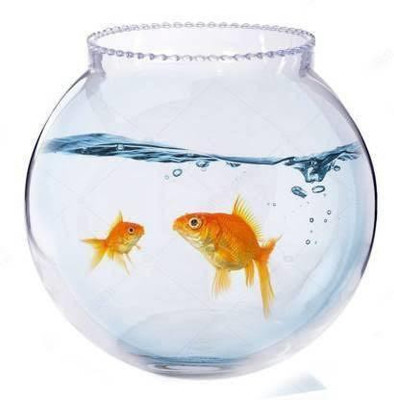 CAS 9.5 L Fish Bowl