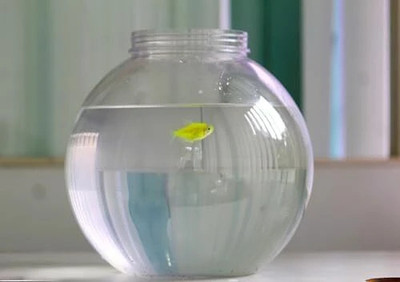 Cwd 8 L Fish Bowl