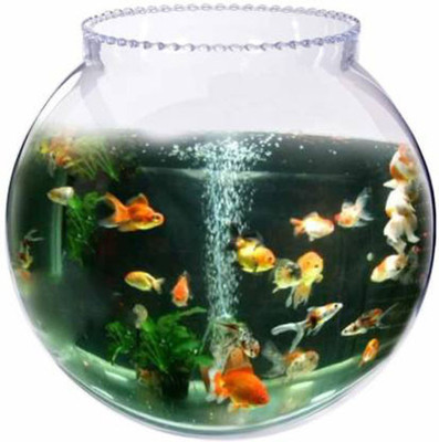 NOGAIYA 3.5 L Fish Bowl