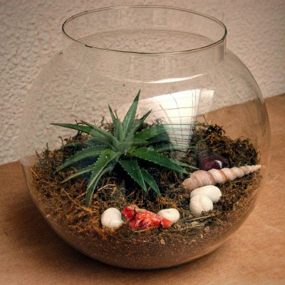 CAS 6.5 L Fish Bowl