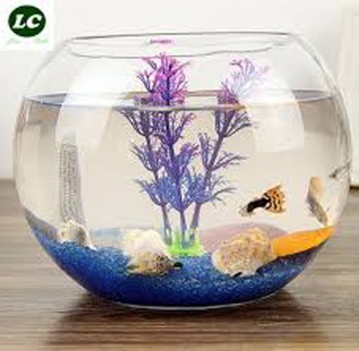 NOAGAIYA 3.5 L Fish Bowl