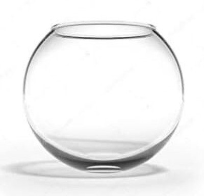 CAS 1.3 L Fish Bowl