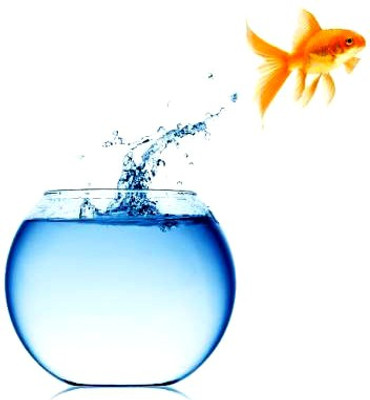ATLOYAL 2.5 L Fish Bowl