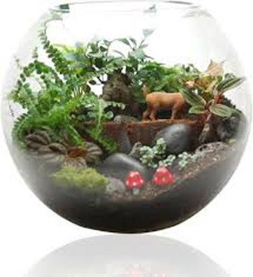 NOAGAIYA 3.5 L Fish Bowl