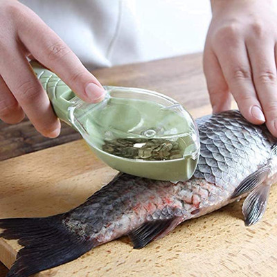 HOME DECOR ENTERPRISE Fish Scale Remover Scrapper Scaler Cutter Cleaning Tools Fish Scaler(Pack of 1)