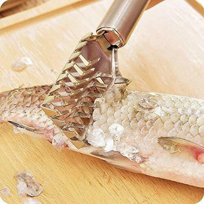 DN BROTHERS Fish Scaler(Pack of 1)