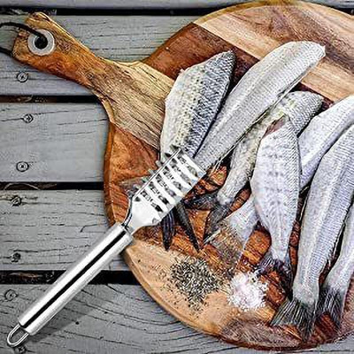 BK BROTHERS Fish Scaler(Pack of 1)