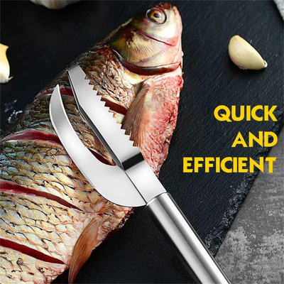 AJB 3-in-1 Stainless Steel Fish Maw Knife with Sawtooth Scaler, Fish Scale Remover Fish Scaler(Pack of 1)