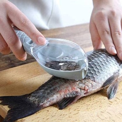 DEKIYANZ Fish Scale Scraper Sawtooth Descaler Cleaner Tool Scale Remover Skin Peeler Fish Scaler(Pack of 1)