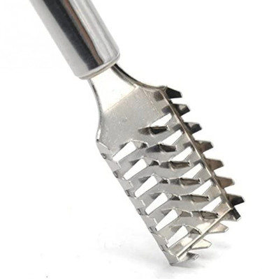 AFFODYL Stainless Steel fish scale remover scraper Peeler cutter Fish Cleaning Brush B Fish Scaler(Pack of 2)