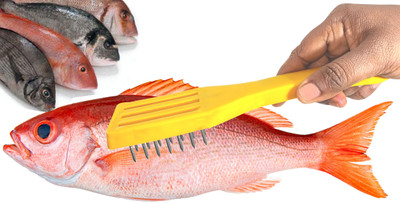 Skystar Fish Scrapper Scale Remover Cleaning Tools Home Multipurpose Scraper Fish Scaler(Pack of 1)