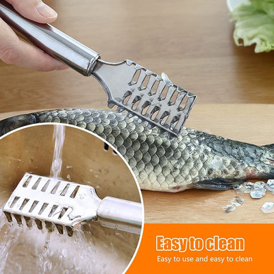 Fitaza Staineless Steel Fish Scale Scraper for Fast Cleaning Fish Skin Fish Sc Fish Scaler(Pack of 1)