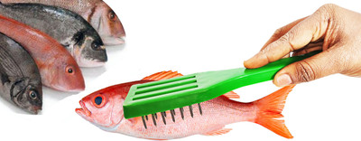 Sky Fish Scrapper Scale Remover Cleaning Tools Home Multipurpose Scraper Fish Scaler(Pack of 1)