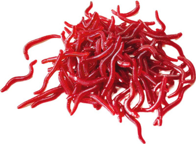 VASADIGITAL Plug Silicone Fishing Lure(Pack of 50, Size 4)