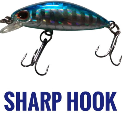 AGROFARM Hard Bait Plastic Fishing Lure(Pack of 1, Size 4)