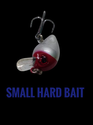AGROFARM Hard Bait Plastic Fishing Lure(Pack of 1, Size 2)