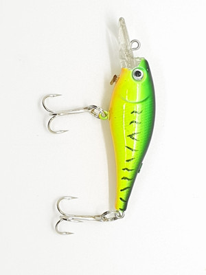 Quenhai Hard Bait Plastic Fishing Lure(Pack of 1)