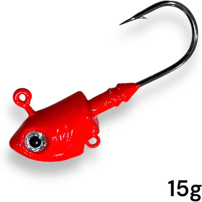 Afiazuh Jigs Lead Fishing Lure(Size 15)