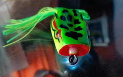 Agastriya Soft Bait Silicone Fishing Lure(Pack of 1)