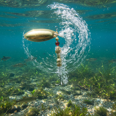 CORAL INDIA Spinner Bait Brass Fishing Lure(Pack of 1)