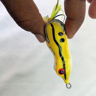 CORAL INDIA Soft Bait Plastic Fishing Lure(Pack of 1)