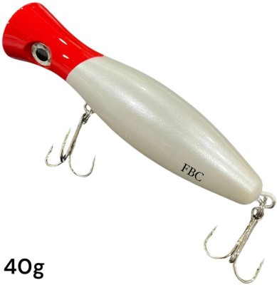 FBC Hard Bait Plastic Fishing Lure(Size 40)