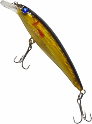 fisheryhouse Hard Bait Plastic Fishing Lure(Pack of 1, Size 2)