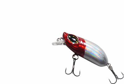 fisheryhouse Hard Bait Plastic Fishing Lure(Pack of 1, Size 2)